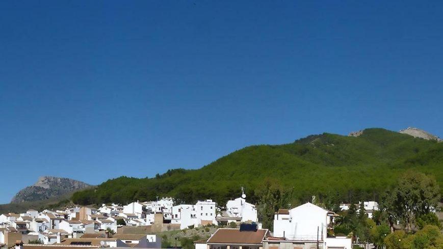 Hostal El Pinar Montecorto Eksteriør bilde